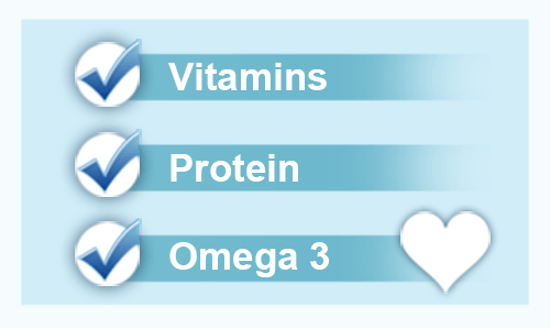 Vitamins - Protein - Omega 3